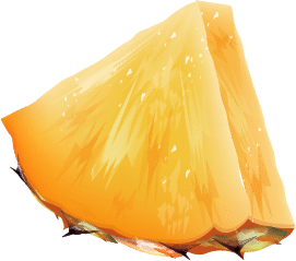 מגוון מגשי סושי פירות